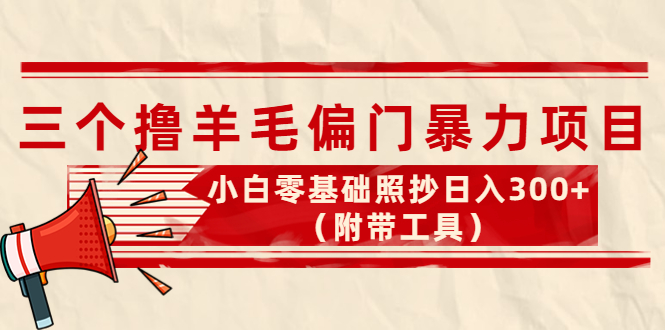 外面卖998的三个撸羊毛偏门暴力项目，小白零基础照抄日入300+（附带工具）